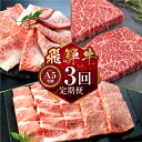 【ふるさと納税】【定期便】A5等級 飛騨牛 3回定期便 I 3ヶ月 a5 5等級 牛肉 肉 和牛 冷凍 焼肉 やきにく ヤキニク ステーキ すき焼き すきやき スキヤキ 定期便 お楽しみ 食べ比べ 小川ミート 本巣市 岐阜 [mt300] 50000円 五万円