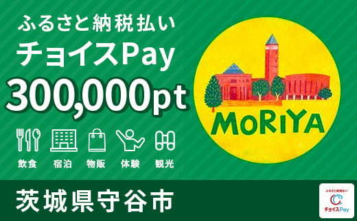 
守谷市チョイスPay 300,000pt（1pt＝1円）【会員限定のお礼の品】
