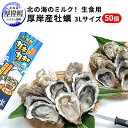 【ふるさと納税】北の海のミルク！ 厚岸産 牡蠣 3Lサイズが50個！ 生食用　【 生食 生牡蠣 貝付き牡蠣 貝 海鮮 魚介類 3L 殻付き牡蠣 メルマガ掲載商品3】