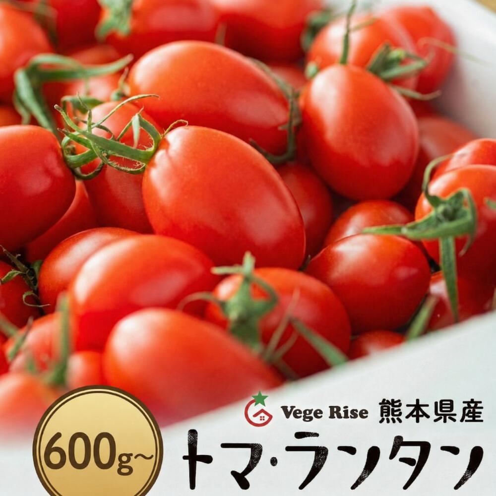 【ふるさと納税】 通常7日以内発送 トマト ミニトマト トマランタン トマ・ランタン VegeRise | 600g 1kg 1.5kg 2kg 3kg 4kg 贈答用 野菜 やさい とまと プチトマト 熊本県 玉名市 送料無料