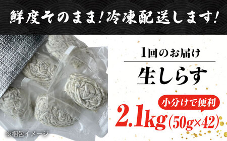 【全3回定期便】しらす 冷凍 シラス　小分け 干し 生しらすのプリッした食感と塩味が抜群！生しらす50g×42個 冷凍 シラス 鮮魚 ギフト 海鮮丼 広島県産 江田島市/三島水産株式会社[XCN017