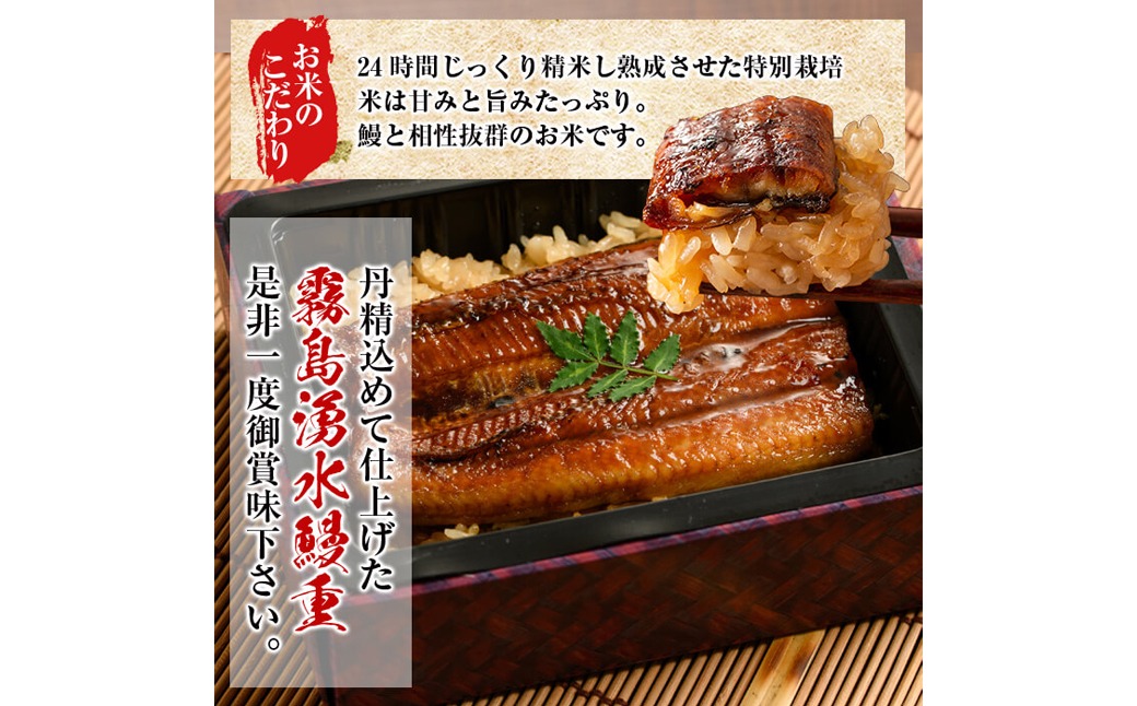 【数量限定】チンする♪霧島湧水鰻重セット 2食入 620g（310g×2）