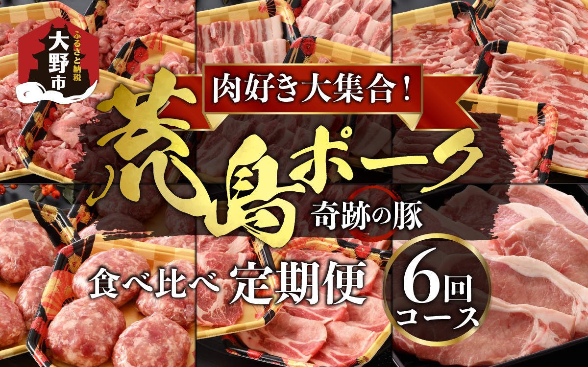 
                  【肉の定期便×6回コース】肉好き大集合！豚肉「荒島ポーク」食べ比べ 定期便！【福井のブランド豚肉】
                