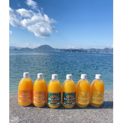 「島育ち」柑橘ジュース500ml× 6本セット[3種類 各2本ずつ](丸大青果　大三島町)【B71】【1094463】