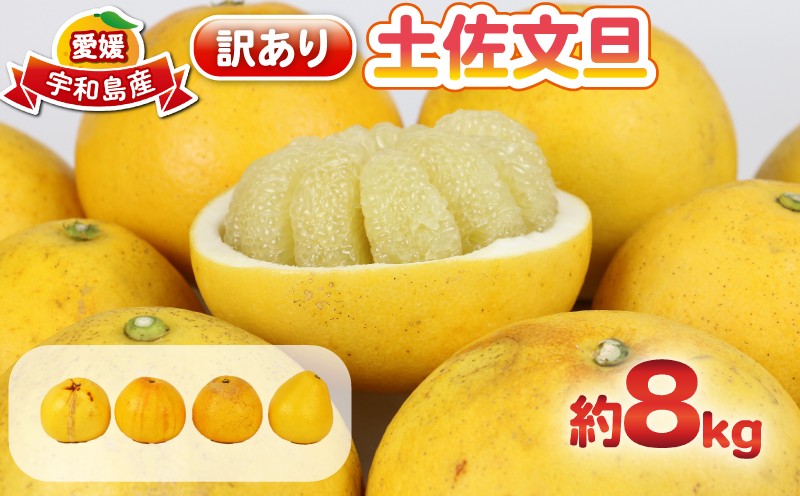 
                  【本日受付終了！】 文旦 訳あり 土佐文旦 8kg  杉本屋  わけあり 訳あり品 ぶんたん 文旦 数量限定 文旦 ぶんたん ブンタン 土佐文旦 柑橘 フルーツ 果物 ご当地 お取り寄せ 愛媛 宇和島 B010-143010
                