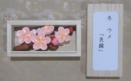 帯留め兼ブローチ（ウメ） 【hms032】