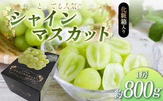 《先行予約 令和7年度発送》 【贈答用】とっても人気の『シャインマスカット』 1房 化粧箱入り FSY-2056