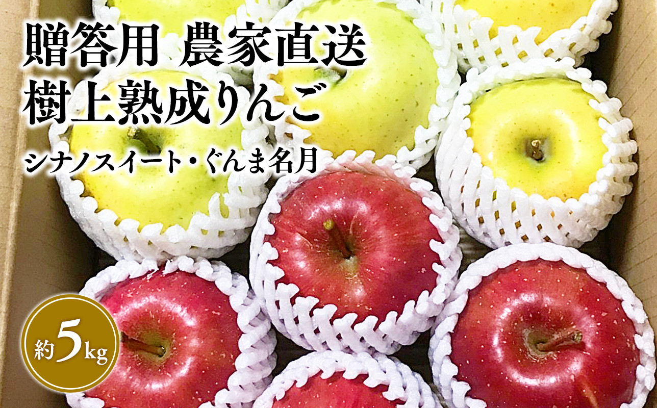 
            【10～11月発送】贈答用 農家直送 樹上熟成りんご シナノスイート・ぐんま名月 約5kg【平川市産・青森りんご】
          