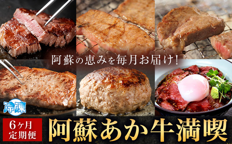 【6ヶ月定期便】阿蘇あか牛満喫セット 株式会社LARKS《お申し込み月の翌月から出荷開始》肉 牛肉 あか牛 ローストビーフ ハンバーグ 冷凍 名物 熊本県 毎月届く 送料無料