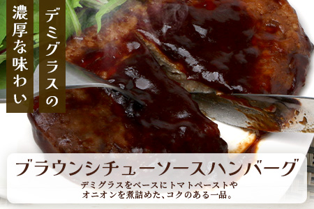 温めるだけ！ レンチン バーグ ≪ペッパーソース・ブラウンシチューソース≫ 合計10個 ハンバーグ 湯煎 レンジ 簡単 大容量 レトルト ハンバーグ ペッパー デミグラス 2種 セット スパイス 簡単