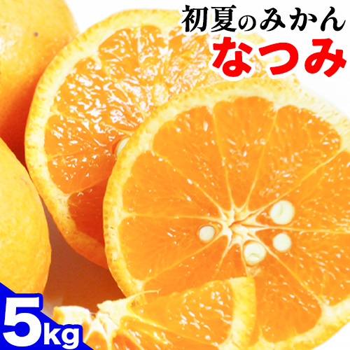 ＜先行予約＞初夏のみかん なつみ約5kg 株式会社 魚鶴商店《2025年4中旬-5上旬頃出荷》 和歌山県 日高町 みかん なつみ 南津海 柑橘 果物 フルーツ 送料無料