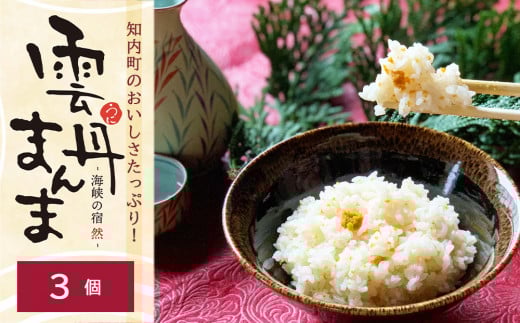 知内町のおいしさたっぷり！うにの炊き込みごはん ～ 雲丹まんま ～ ×3＜海峡の宿 然＞