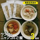 【ふるさと納税】 自然食材 ペットフード 3種類 4袋 安心安全 犬猫用 パウチ レトルト ペット用品ワンコとニャンコのご飯 【送料無料】