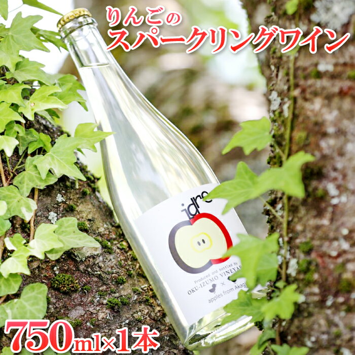 【ふるさと納税】 りんご スパークリングワイン シードル赤来 750ml 1本 島根県産 飯南町 お酒 ワイン スパークリング すっきり 辛口 果物 フルーツ りんご リンゴ 贈答用 ギフト プレゼント 女子会 パーティ