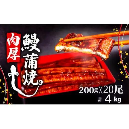 うなぎ 蒲焼き 特大 鰻 200g×20尾 セット蒲焼きのタレ 付き 冷凍 高知県 須崎市 （うなぎ 蒲焼き 冷凍 スタミナ 土用の丑の日 タレ 小分け タレ付 鰻 ウナギ）