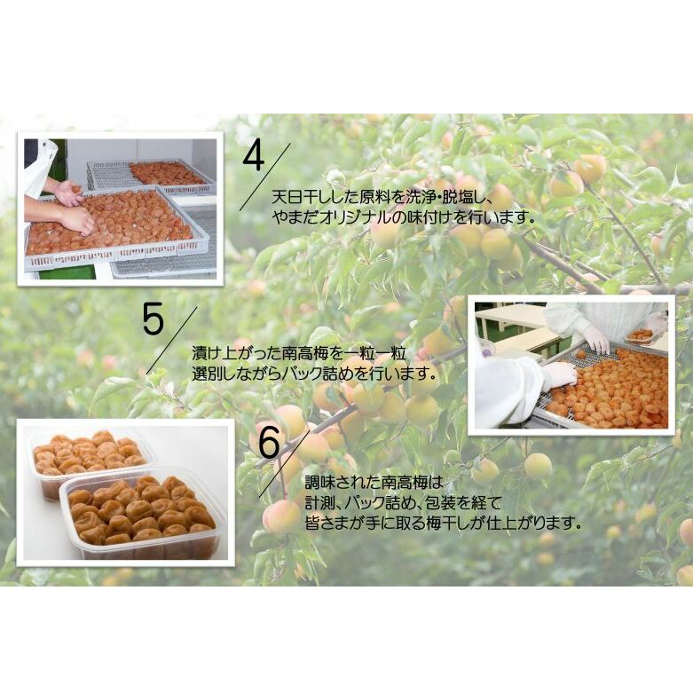 YD1010_紀州南高梅しそプレミアム塩分約6％（850ｇ）_イメージ3