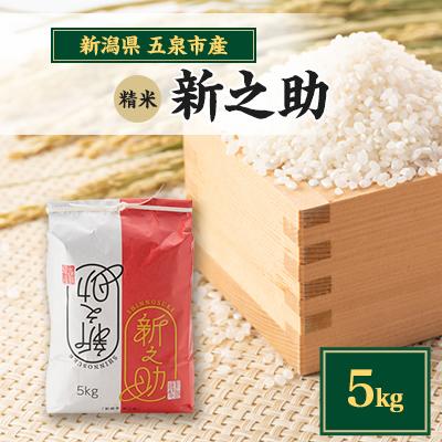 ふるさと納税 五泉市 【新米先行受付】R7年産新潟県五泉市産　新之助　5kg　精米