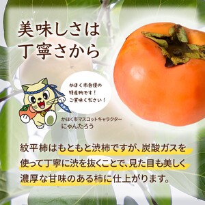 高松紋平柿１箱【令和６年１１月発送分】／１４～１６個入り