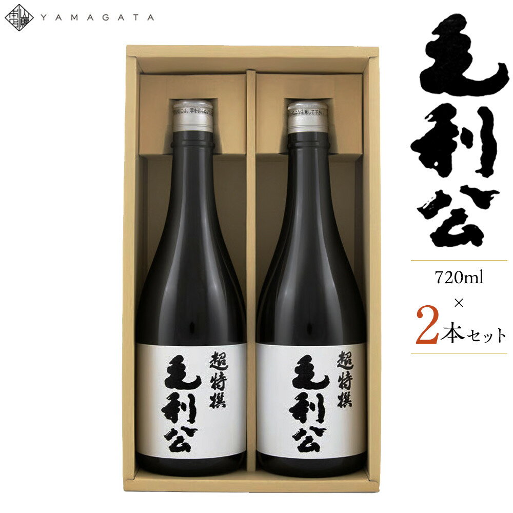 【ふるさと納税】超特撰大吟醸毛利公2本セット