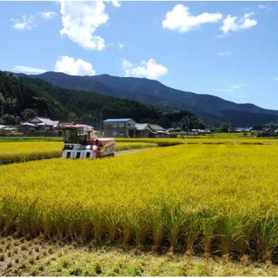 ふるさと納税 鬼北町 【愛媛県ブランド米】ひめの凜(プレミアムクオリティ)5kg |  | 01