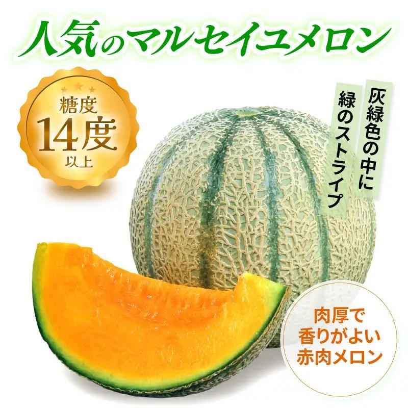【先行予約】マルセイユメロン 2玉入 4Lサイズ ／ メロン フルーツ 果物 赤肉 花咲紅姫 贈答用 プレゼント 贈り物 国産 期間限定 産地直送 人気 ※2027年6月中旬より順次発送 [aw003