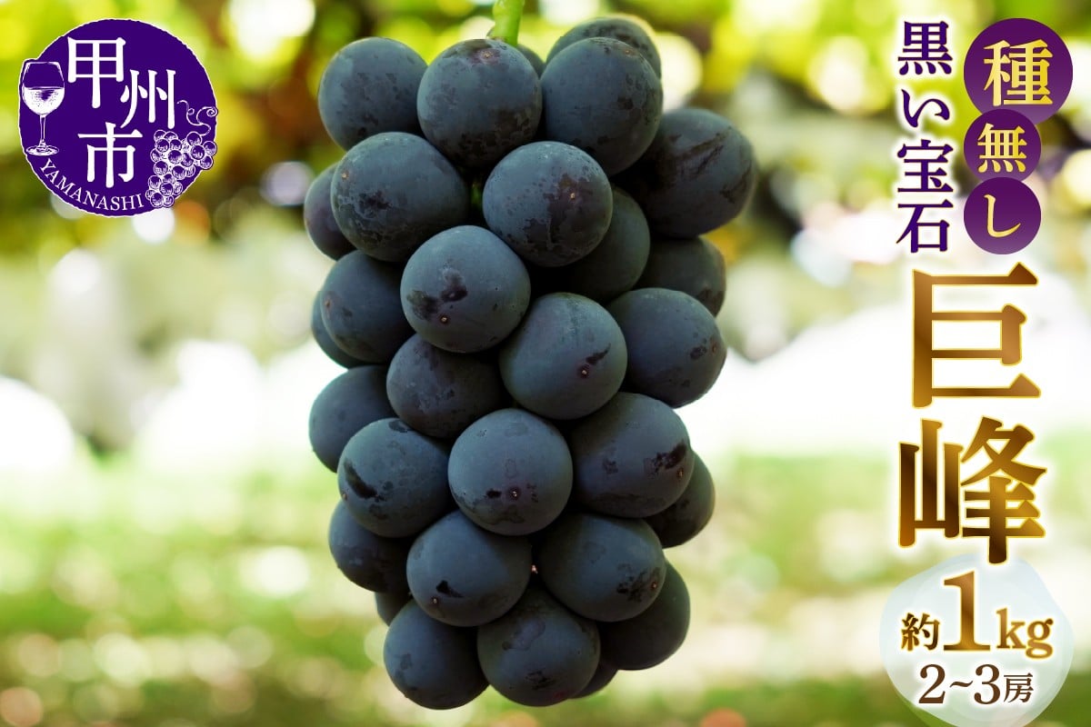 
            甲州市産種無し巨峰 約1kg（2房～3房）【2026年発送】（MG）B-499 【巨峰 ぶどう 葡萄 ブドウ 令和8年発送 期間限定 山梨県産 甲州市 フルーツ 果物】
          