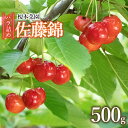 【ふるさと納税】【令和7年産先行予約】さくらんぼ 佐藤錦 バラ詰め 500g　 山形県 鶴岡市産　K-732