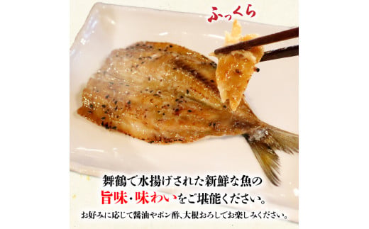 干物 いわし あじ みりん干し セット 鰯 鯵 ひもの 詰め合わせ 各 500g 計 1kg 1キロ 10000円 魚 魚介 一万円 食べ比べ 切り身 おつまみ おかず 人気 冷凍 国産 ランキング 