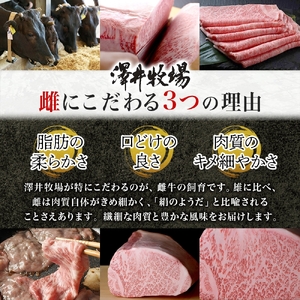 【 先行予約 】 近江牛 ヒレステーキ 2枚 計240g 柔らかい 甘み 肉質 ジューシー 霜降り ブランド 肉 にく 牛 牛肉 国産 松坂牛 神戸牛 に並ぶ ギフト 贈答 ご褒美 滋賀県 竜王町 澤
