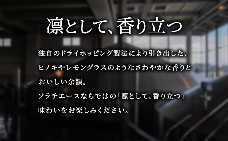 【9ヵ月連続定期便】北海道 上富良野町発祥 伝説のホップ SORACHI 1984 350ml×12缶 ソラチエース使用 サッポロ ビール クラフトビール 酒 アルコール 日用品 お酒