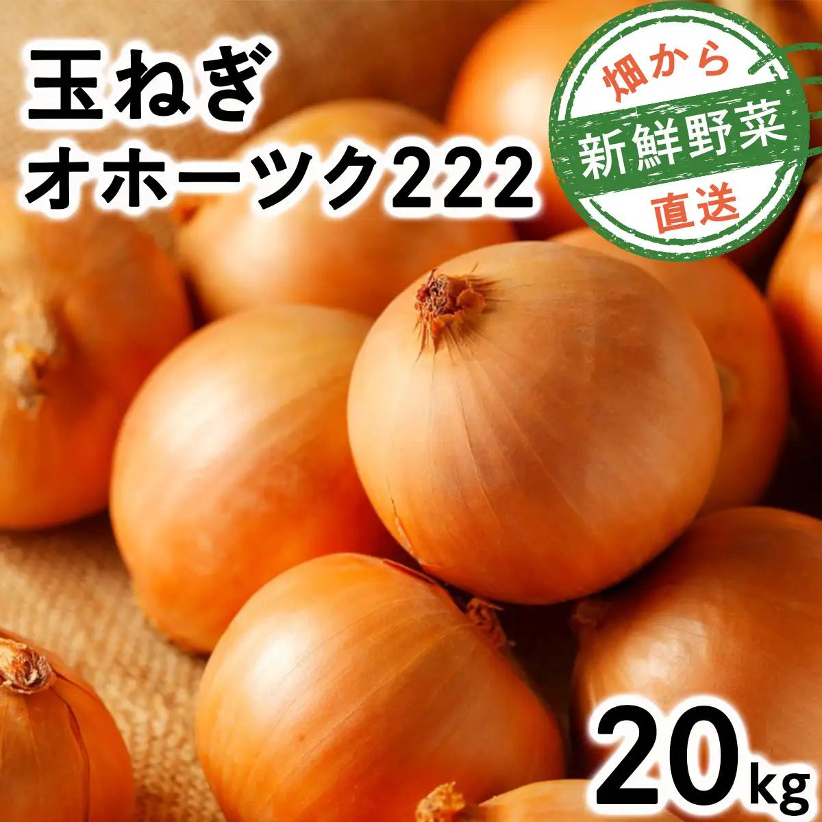 【順次配送】畑から直送の新鮮野菜！玉ねぎ（オホーツク222）20kg【a168-006-0】