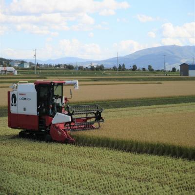 ふるさと納税 秩父別町 【受付中】令和7年産 ななつぼし(10kg)【R7SB1】 |  | 03