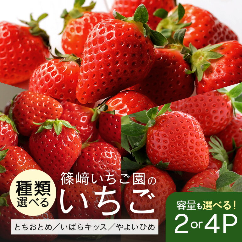 【ふるさと納税】【2026年先行予約】採れたて新鮮いちご 期間限定 数量限定 甘い 大きい イチゴ 春 苺 旬 フルーツ 果物 デザート ギフト 贈答用 国産 採れたて 新鮮 いちご 産地直送 茨城県 石岡市 (A32-001)