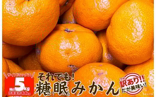 
            ［先行予約］訳あり それでも 熟成みかん 箱込5kg ( 内容量 4.4kg ) サイズミックス Ｂ品 有田みかん 和歌山県産 産地直送 家庭用 【みかんの会】
          