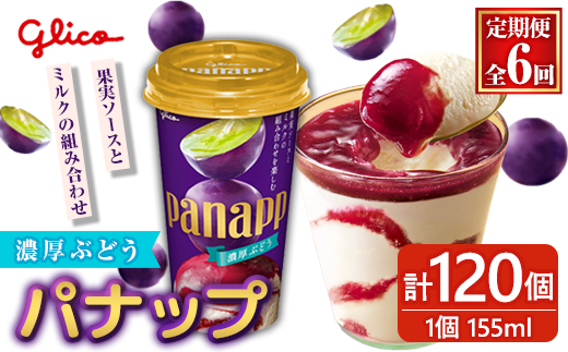 パナップ  計120個 6ヶ月定期便 ふるさと納税 常陸大宮市 特産品 グリコ アイス パナップ アイスクリーム スイーツ おやつ 菓子 お菓子 デザート ぶどう ブドウ 葡萄 【ReiHAN株式会社