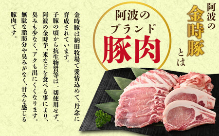 金時豚 豚丼 レトルト 4箱 (150g×4) 豚肉 【 豚丼 】
