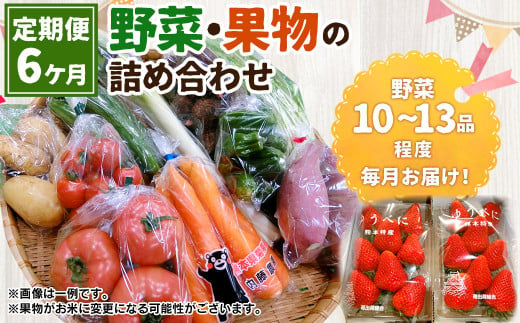 
【6ヶ月定期便】菊陽町特産品 「野菜・果物などの詰め合わせ」
