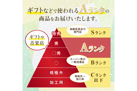【期間限定発送】 シャインマスカット Aランク 6～9房 4.8kg