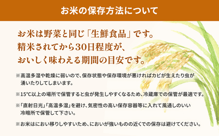 【令和7年産/白米】茨城県産 コシヒカリ 10kg 令和8年1月内発送 米 K2654