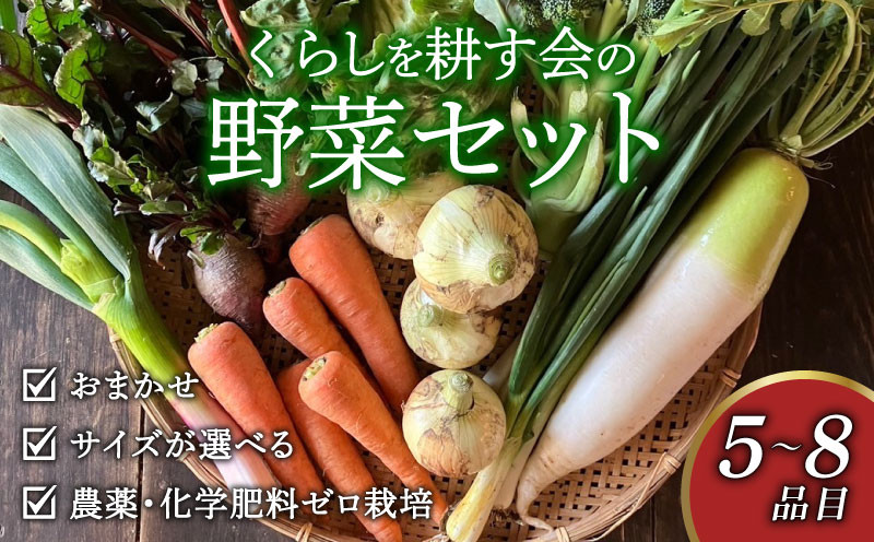 
            丸山農園の野菜セット おまかせ 6～8品目 選べる 容量 1～6人用 無農薬 くらしを耕す会 野菜 やさい サラダ 健康 人参 玉ねぎ 大根 野菜 やさい サラダ 健康 人参 玉ねぎ 大根 野菜 やさい サラダ 健康 人参 玉ねぎ 大根 野菜 やさい サラダ 健康 人参 玉ねぎ 大根 野菜 やさい サラダ 健康 人参 玉ねぎ 大根 ふるさと納税野菜 ふるさと納税サラダ 愛知県 南知多町
          