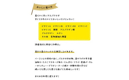 ＜早期予約・数量限定＞北海道ニセコ町 アスパラMサイズ1kg【2026年産】【3200101】