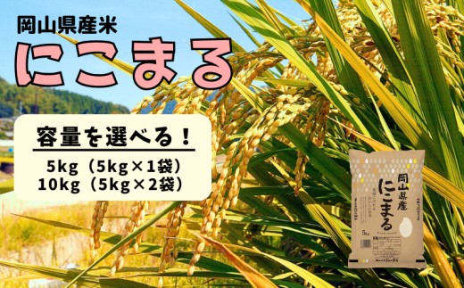 
                  容量選べる！岡山県産米 にこまる【先行予約 2025年11月上旬から順次発送】【令和7年産】
                