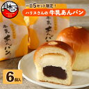 【ふるさと納税】 パン あんぱん スイーツ おやつ 牛乳あんぱん お取り寄せ ギフト フレッシュ バター こしあん あんこ 6個 常温 冷蔵 ハリスさんの牛乳あんぱん 平井製菓 静岡 伊豆 下田 詰め合わせ 大人気 敬老の日 化粧箱 個包装 プレゼント 贈答 送料無料