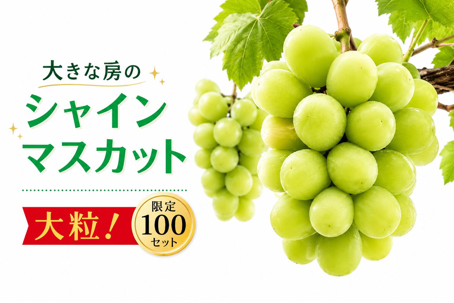 【ふるさと納税】 シャインマスカット 1房 大房 甘い 贈答 ギフト ぶどう フルーツ 果物 数量限定 送料無料 産地直送 【2026年発送】