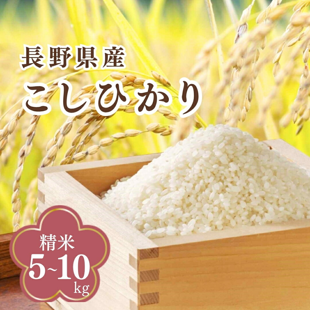 【ふるさと納税】コシヒカリ 精米 5kg/10kg 令和7年産| 信州 長野 千曲市 送料無料