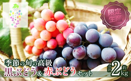 【令和8年産先行予約】【限定生産】幻の種あり品種 ぶどうの詰合せ 約2kg 季節の旬の高級黒ぶどう・赤ぶどうセット　カラフルぶどう園