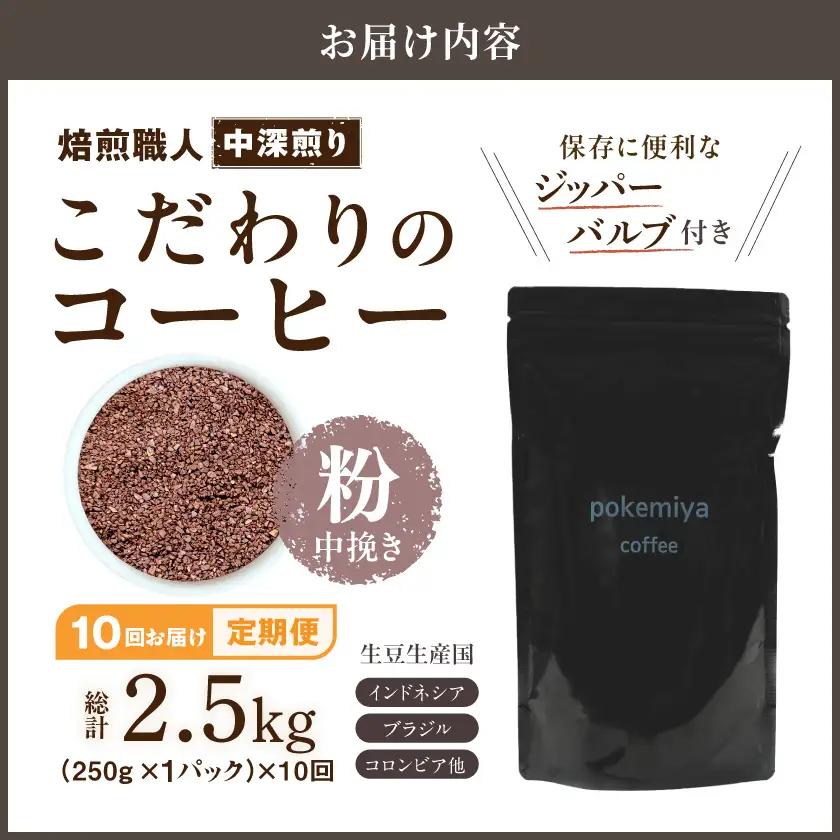 10回お届け!焙煎職人こだわりのコーヒー定期便【粉】250g 小分けパック(ジッパー・バルブ付) ※中深煎り※ポスト投函〔TLA10-3301〕_(都城市) 毎月