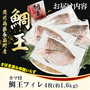 長島町特産「鯛王」 フィレ 半身 4枚入り カマ付 (約1.6kg) 産地直送 新鮮 旨味が抜群の 長島町 特産品 ブランド 刺身 鯛めし 鯛茶漬け 鯛しゃぶ 鯛刺身 鮮魚 冷蔵 【JFA】jfa-1