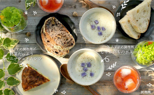 《令和7年分》数量限定！季節のお野菜詰め合わせ 秋(配送時期：9月～10月)【01018】