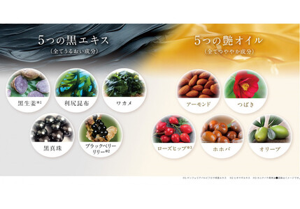 ダリヤ　サロン　ド　プロ　カラートリートメント＜アッシュブラウン＞3個セット